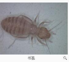 游戏专题 第107页