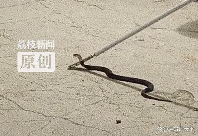 热点生活 第102页