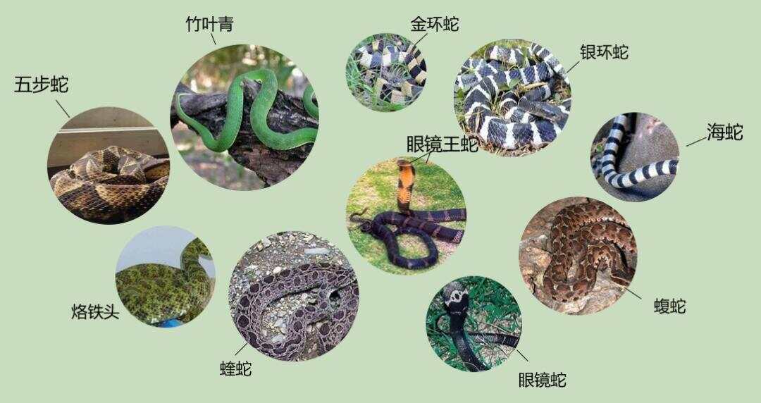 热点生活 第87页