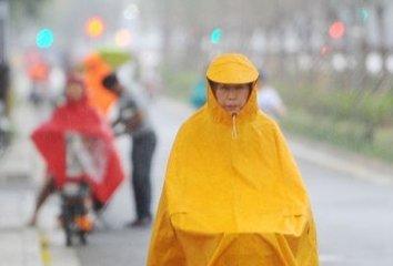 港澳新闻 第82页