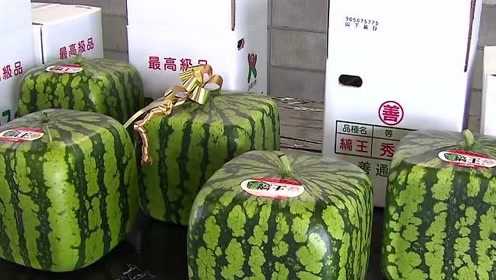 港澳新闻 第73页