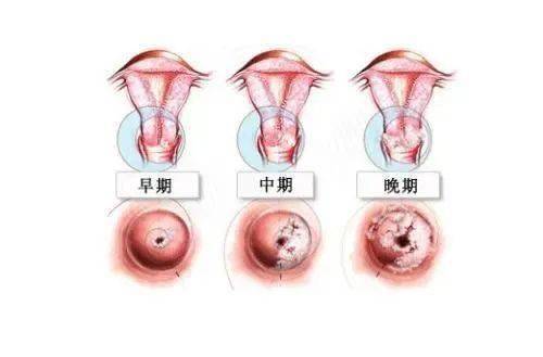 娱乐生活 第62页