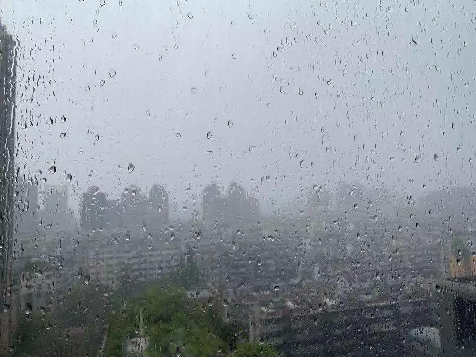 地方新闻 第10页