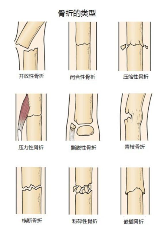 游戏专题 第6页